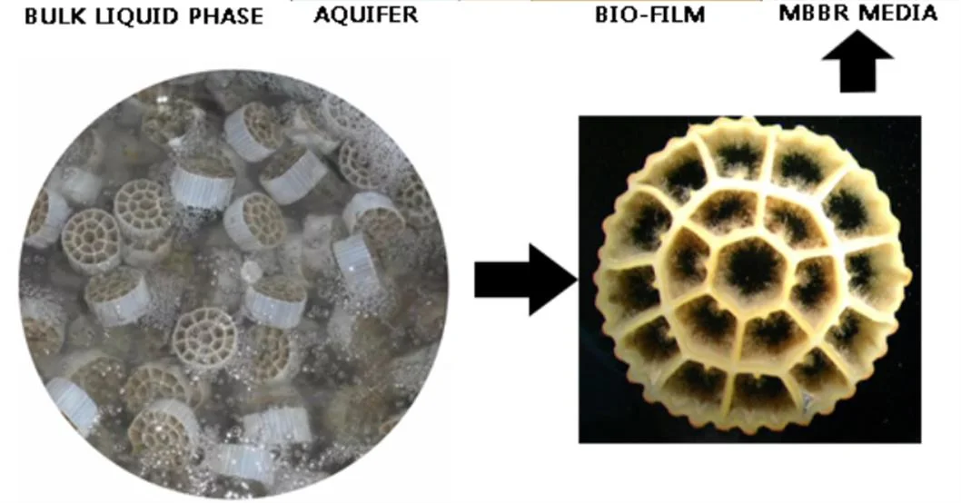 Mbbr Media K1 K3 Bio Filter Media